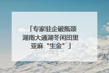 专家驻企破瓶颈 湖南大通湖冬闲田里亚麻“生金”