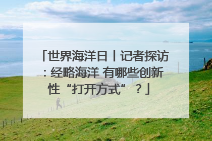 世界海洋日丨记者探访：经略海洋 有哪些创新性“打开方式”？
