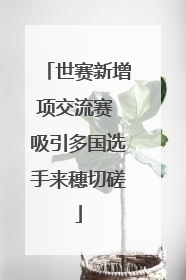 世赛新增项交流赛 吸引多国选手来穗切磋