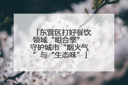 东营区打好餐饮领域“组合拳” 守护城市“烟火气”与“生态味”