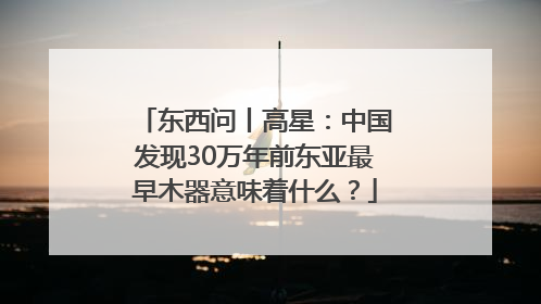 东西问丨高星：中国发现30万年前东亚最早木器意味着什么？