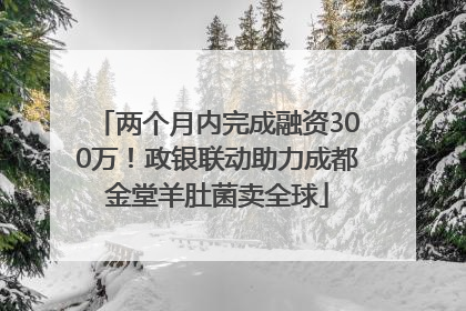 两个月内完成融资300万！政银联动助力成都金堂羊肚菌卖全球