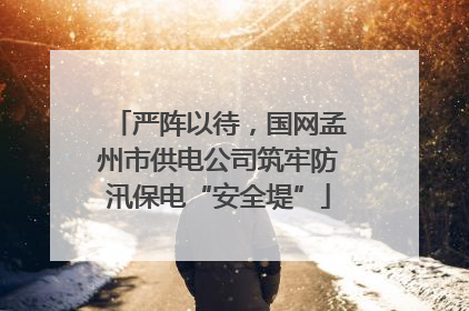 严阵以待，国网孟州市供电公司筑牢防汛保电“安全堤”