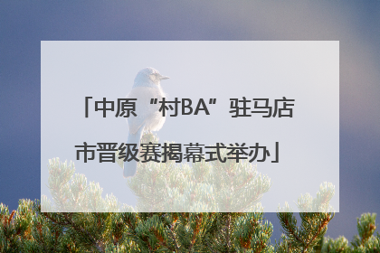 中原“村BA”驻马店市晋级赛揭幕式举办