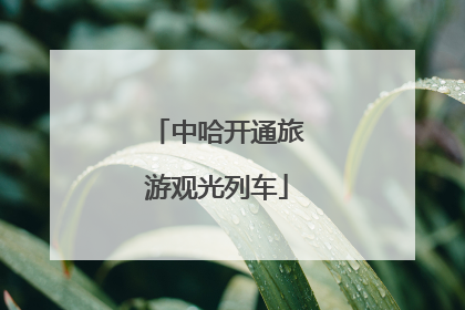 中哈开通旅游观光列车