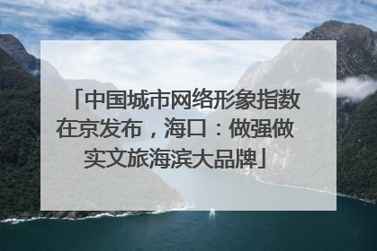 中国城市网络形象指数在京发布，海口：做强做实文旅海滨大品牌