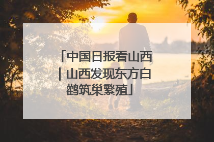 中国日报看山西｜山西发现东方白鹳筑巢繁殖