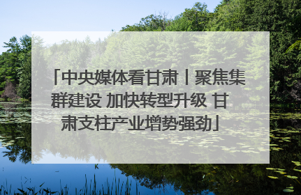 中央媒体看甘肃丨聚焦集群建设 加快转型升级 甘肃支柱产业增势强劲