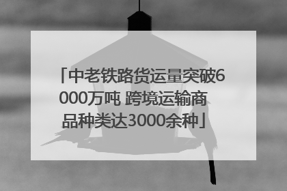 中老铁路货运量突破6000万吨 跨境运输商品种类达3000余种
