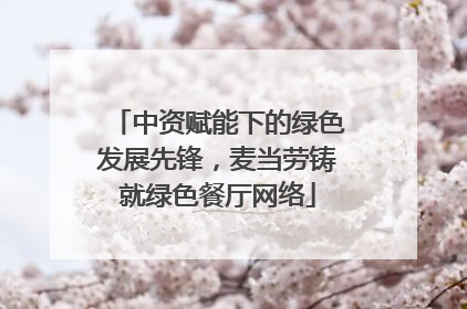中资赋能下的绿色发展先锋，麦当劳铸就绿色餐厅网络