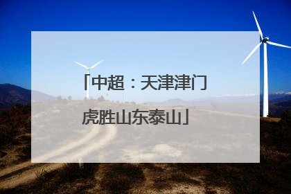 中超：天津津门虎胜山东泰山