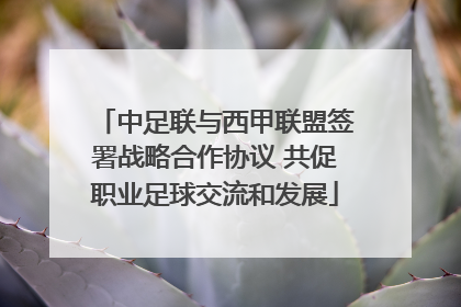 中足联与西甲联盟签署战略合作协议 共促职业足球交流和发展