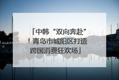 中韩“双向奔赴”！青岛市城阳区打造跨国消费狂欢场
