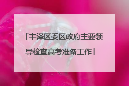 丰泽区委区政府主要领导检查高考准备工作