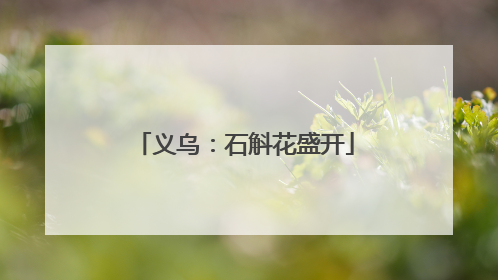 义乌：石斛花盛开