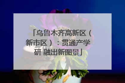 乌鲁木齐高新区（新市区）：贯通产学研 融出新图景