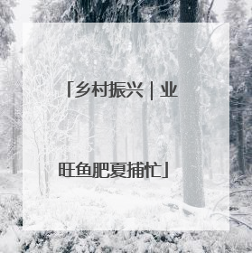 乡村振兴｜业旺鱼肥夏捕忙