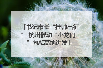 书记市长“挂帅出征” 杭州催动“小龙们”向AI高地进发