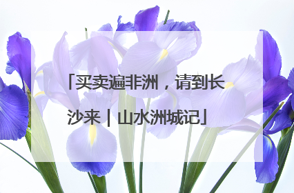 买卖遍非洲，请到长沙来｜山水洲城记