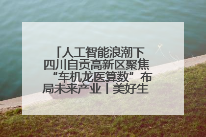 人工智能浪潮下 四川自贡高新区聚焦“车机龙医算数”布局未来产业丨美好生活有“盐”味