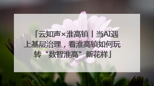 云知声×淮高镇丨当AI遇上基层治理，看淮高镇如何玩转“数智淮高”新花样