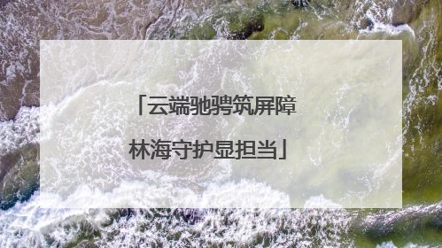 云端驰骋筑屏障 林海守护显担当
