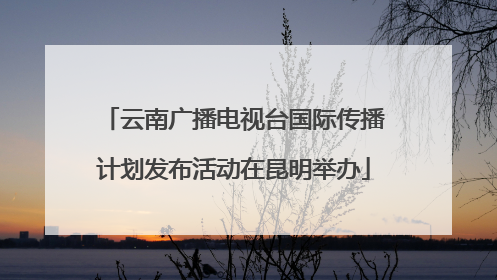 云南广播电视台国际传播计划发布活动在昆明举办