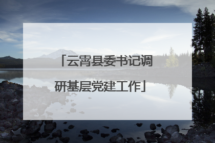 云霄县委书记调研基层党建工作