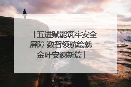 五进赋能筑牢安全屏障 数智领航绘就金叶安澜新篇
