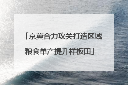 京冀合力攻关打造区域粮食单产提升样板田