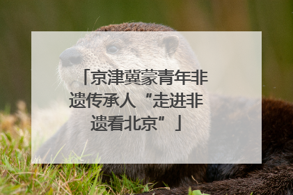 京津冀蒙青年非遗传承人“走进非遗看北京”