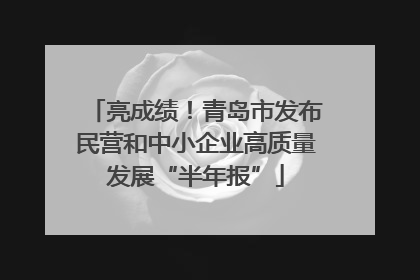 亮成绩！青岛市发布民营和中小企业高质量发展“半年报”