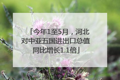 今年1至5月，河北对中亚五国进出口总值同比增长1.1倍