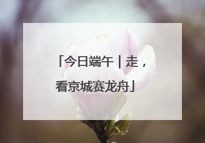 今日端午｜走，看京城赛龙舟