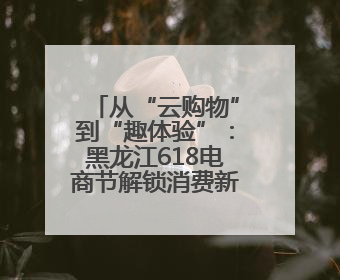 从“云购物”到“趣体验”：黑龙江618电商节解锁消费新玩法