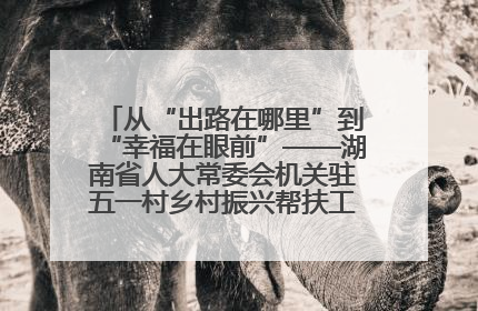 从“出路在哪里”到“幸福在眼前”——湖南省人大常委会机关驻五一村乡村振兴帮扶工作队书写振兴答卷