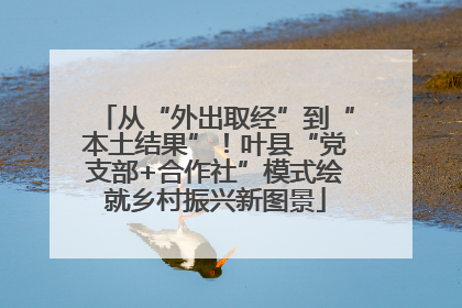 从“外出取经”到“本土结果”！叶县“党支部+合作社”模式绘就乡村振兴新图景