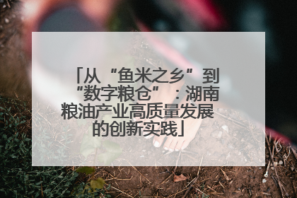 从“鱼米之乡”到“数字粮仓”：湖南粮油产业高质量发展的创新实践