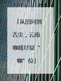 从田间到舌尖，云南咖啡尽显“咖”位