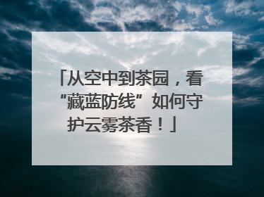 从空中到茶园，看“藏蓝防线”如何守护云雾茶香！