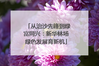 从治沙先锋到绿富同兴：新华林场绿色发展育新机