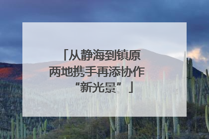 从静海到镇原 两地携手再添协作“新光景”