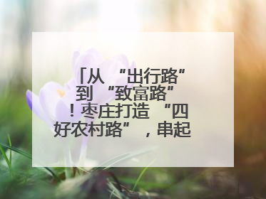 从 “出行路” 到 “致富路”！枣庄打造 “四好农村路”，串起乡村振兴新图景