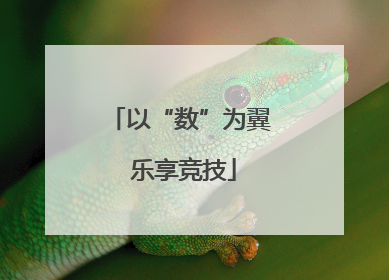 以“数”为翼 乐享竞技