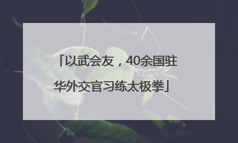 以武会友，40余国驻华外交官习练太极拳
