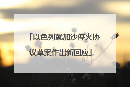以色列就加沙停火协议草案作出新回应