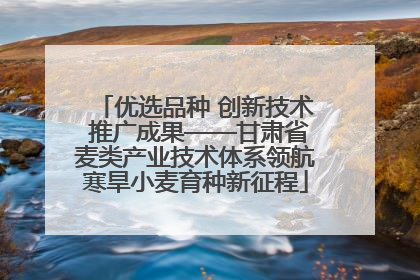 优选品种 创新技术 推广成果——甘肃省麦类产业技术体系领航寒旱小麦育种新征程