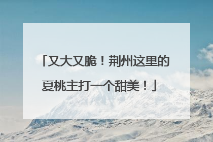 又大又脆！荆州这里的夏桃主打一个甜美！