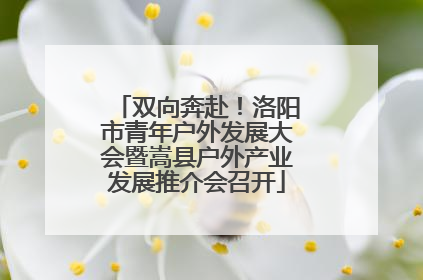 双向奔赴！洛阳市青年户外发展大会暨嵩县户外产业发展推介会召开