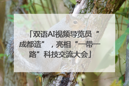双语AI视频导览员“成都造”，亮相“一带一路”科技交流大会